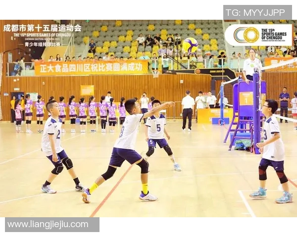 成都排球队最新排球速度排行榜揭晓TOP10选手表现引关注