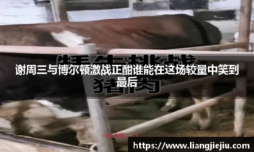 谢周三与博尔顿激战正酣谁能在这场较量中笑到最后